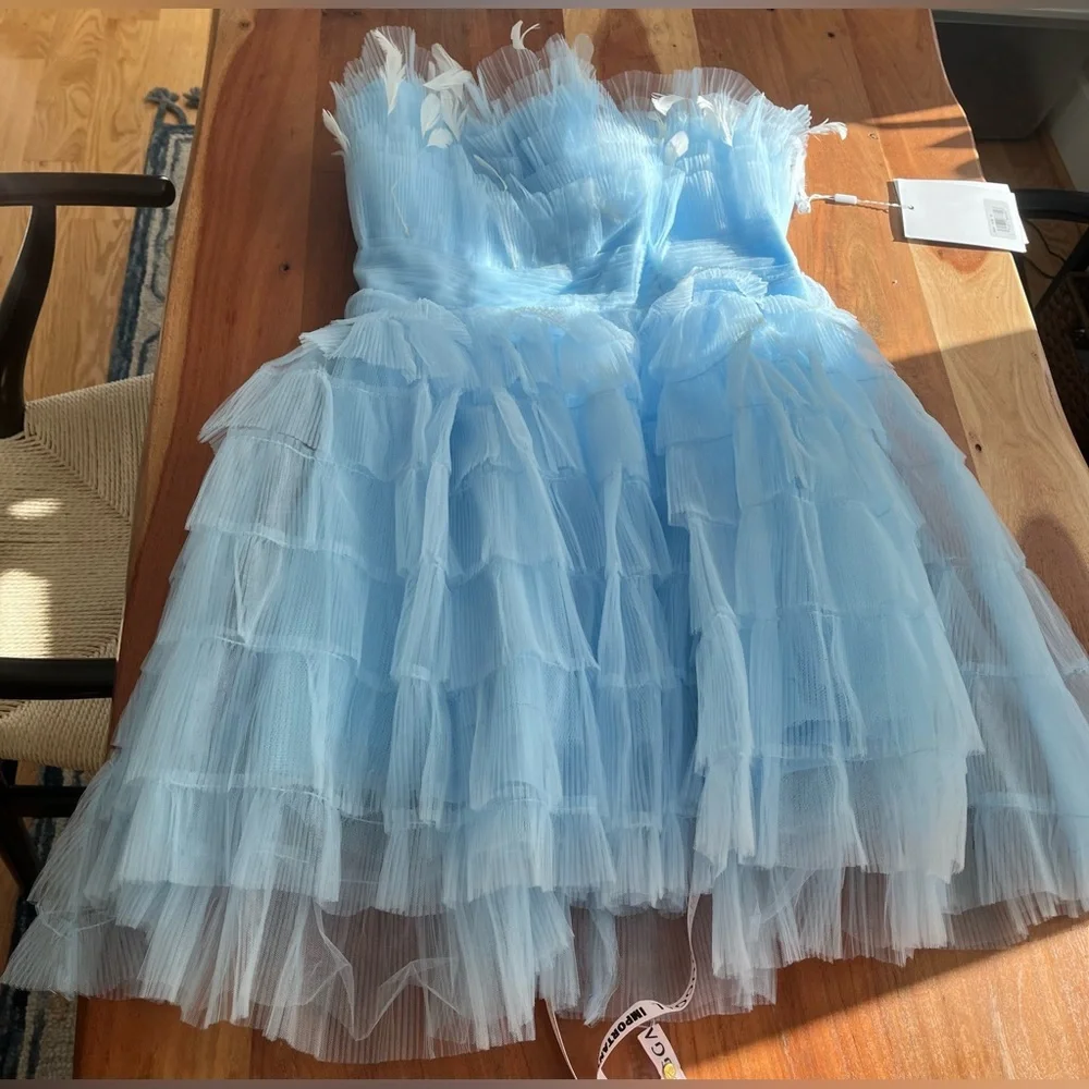 NWT Mac Duggal Feathered Strapless Tulle Fit + Flare Dress Powder Blue - Sz 10 - Picture 4 of 8